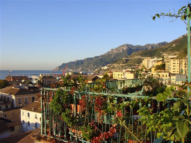 A rooftop garden with lush greenery overlooks a coastal town with buildings and mountains in the background under a clear blue sky.